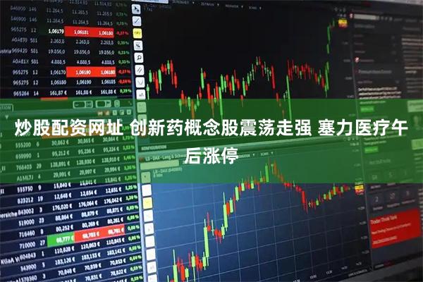 炒股配资网址 创新药概念股震荡走强 塞力医疗午后涨停
